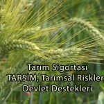 Tarım Sigortası, TARSİM, Tarımsal Riskler, Devlet Destekleri